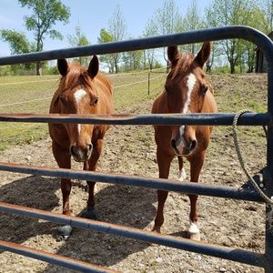 Meet your Posher, Tammy